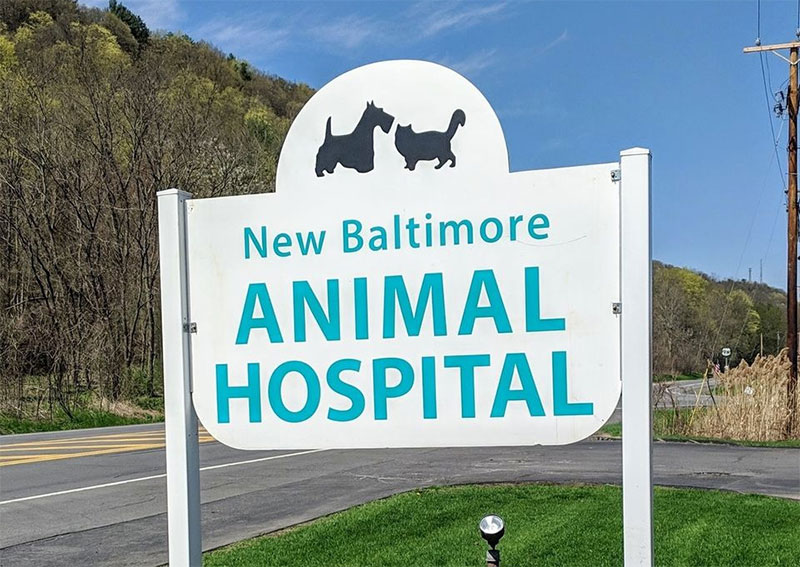 Carousel Slide 5: New Baltimore Animal Hospital